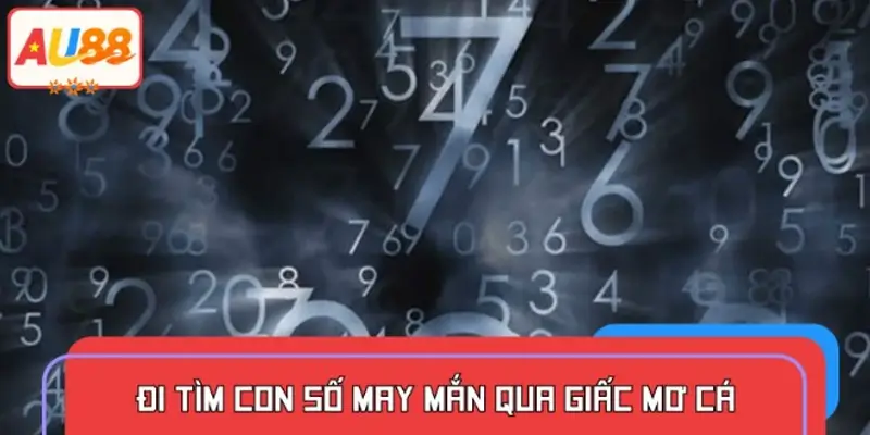 Bật mí con số thần tài khi bạn mơ thấy cá
