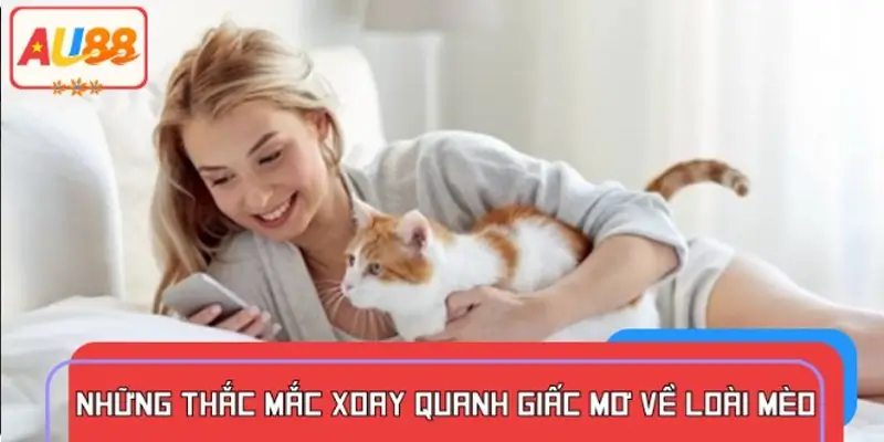 Các câu hỏi thường gặp khi mơ thấy hình ảnh con mèo