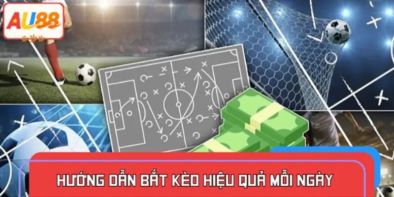 Cách bắt kèo chuẩn nâng cao tỷ lệ thắng mỗi ngày cho hội viên
