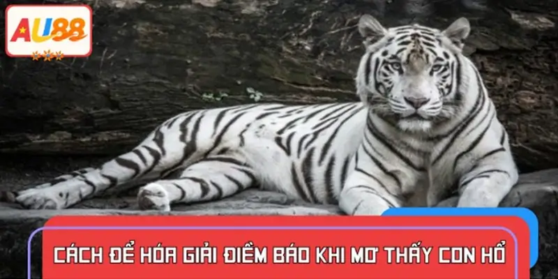 Cách chuyển hóa điềm báo tiêu cực từ giấc mơ thấy con hổ