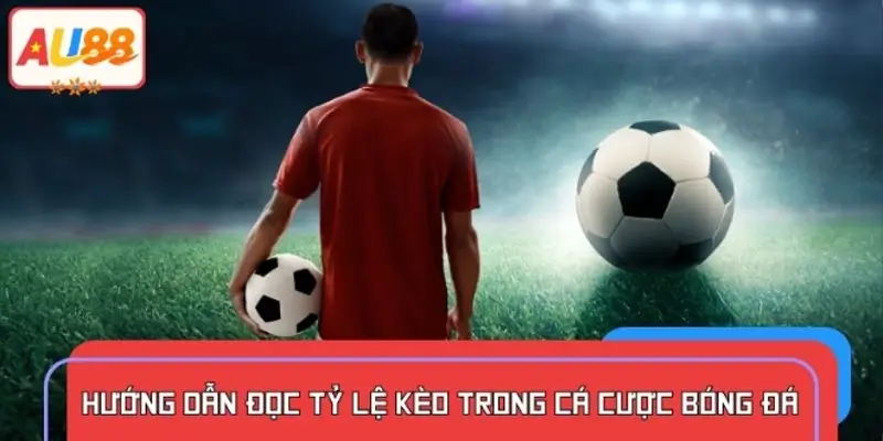 Cách đọc tỷ lệ kèo bóng đá chi tiết cho người mới