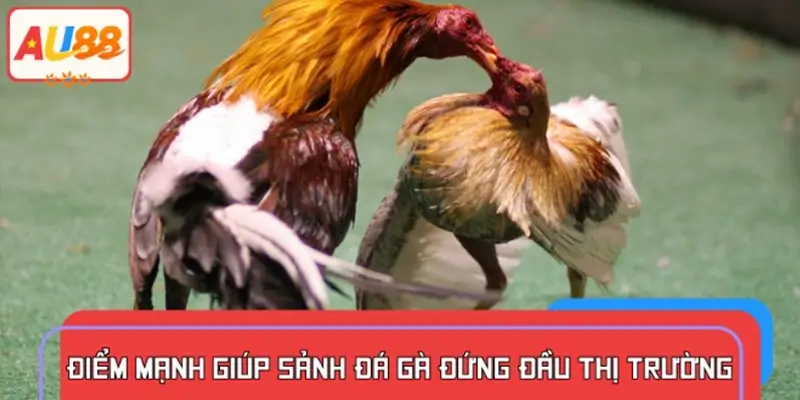 Đánh giá các thế mạnh tạo nên sức hút riêng biệt của sảnh đá gà