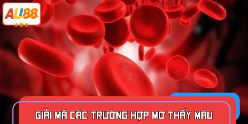 Giải mã chi tiết các trường hợp thường gặp khi mơ thấy máu