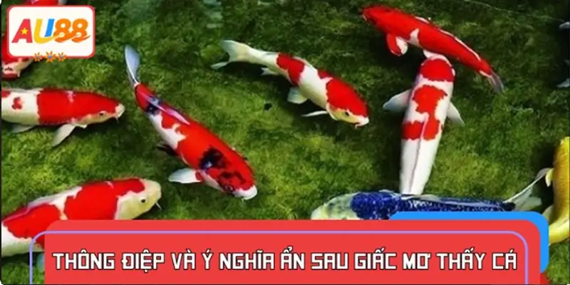 Giải mã giấc mơ thấy cá – điềm báo cho tương lai ra sao