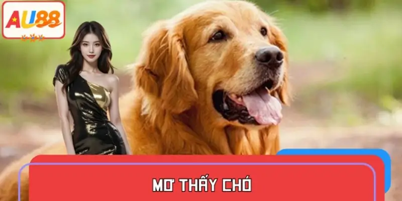 Giải Mã Giấc Mơ Thấy Chó – Trung Thành Hay Cảnh Báo?