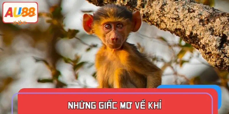 Giải mã giấc mơ thấy khỉ?