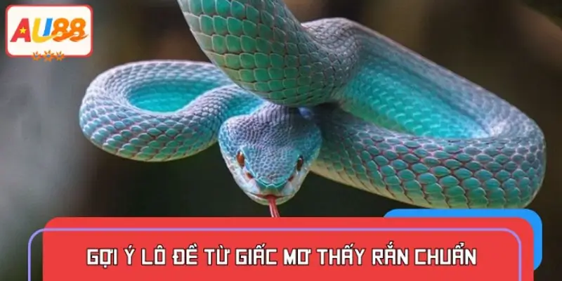 Gợi ý các con số hot chơi lô đề nếu mơ thấy rắn