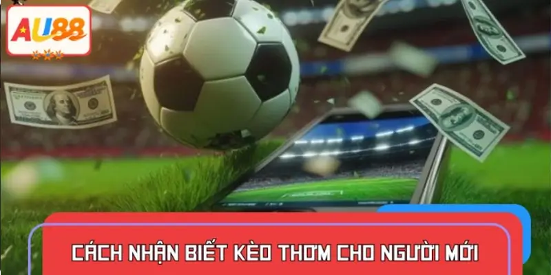Làm sao nhận biết kèo ngon khi đang cá cược tại nhà cái?