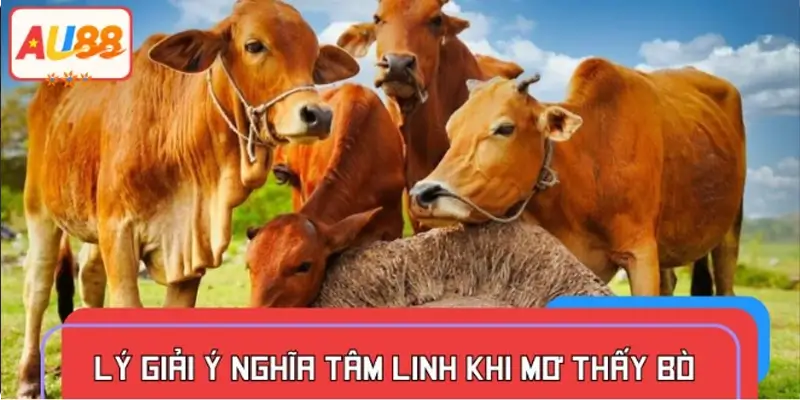 Lý giải ý nghĩa tâm linh khi mơ thấy bò