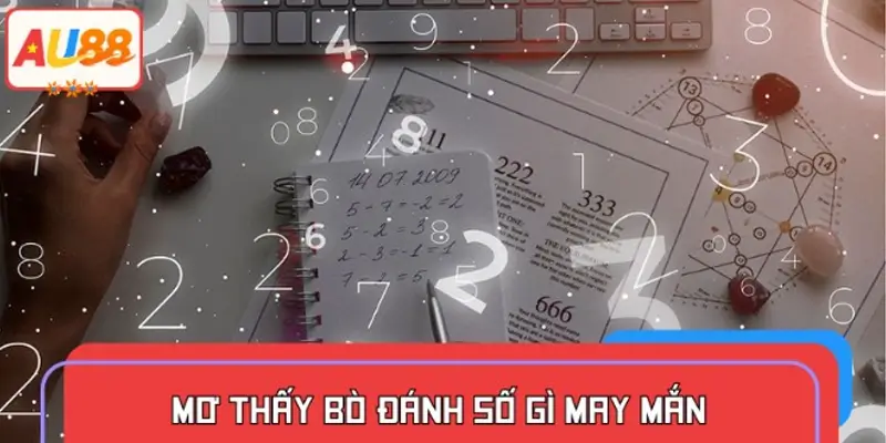 Mơ thấy bò đánh số gì may mắn theo kinh nghiệm dân gian?
