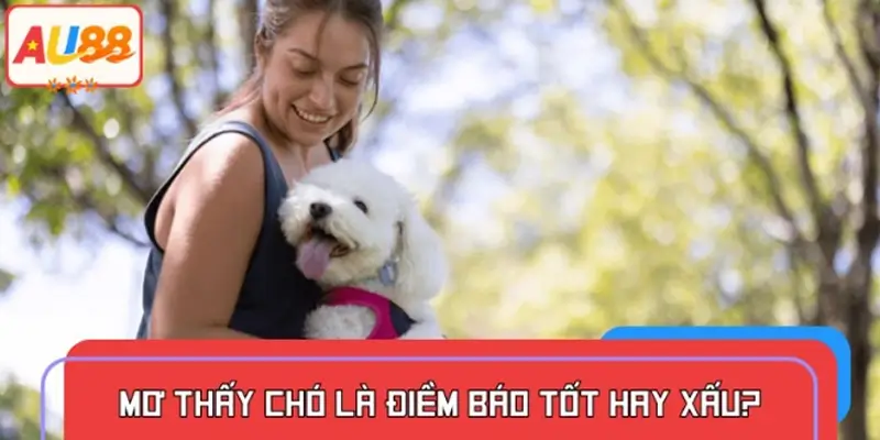 Mơ thấy chó ẩn chứa điềm lành hay dữ?