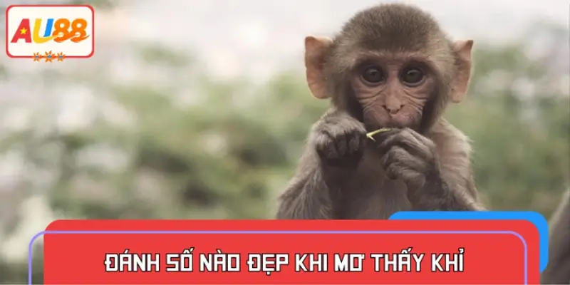 Mơ thấy khỉ đánh những con số nào sẽ may mắn
