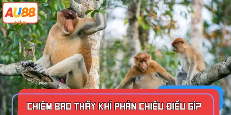 Mơ thấy khỉ phản chiếu điều gì ở người chiêm bao?