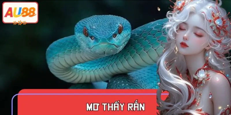 Mơ Thấy Rắn Là Điềm Gì? Giải Mã Giấc Mơ Thấy Rắn
