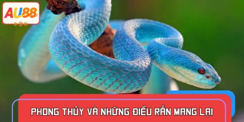 Tác động trực tiếp đến cuộc sống và vận mệnh gia chủ