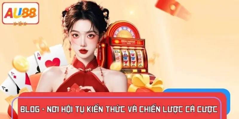 Tổng quan thông tin giới thiệu chuyên mục Blog