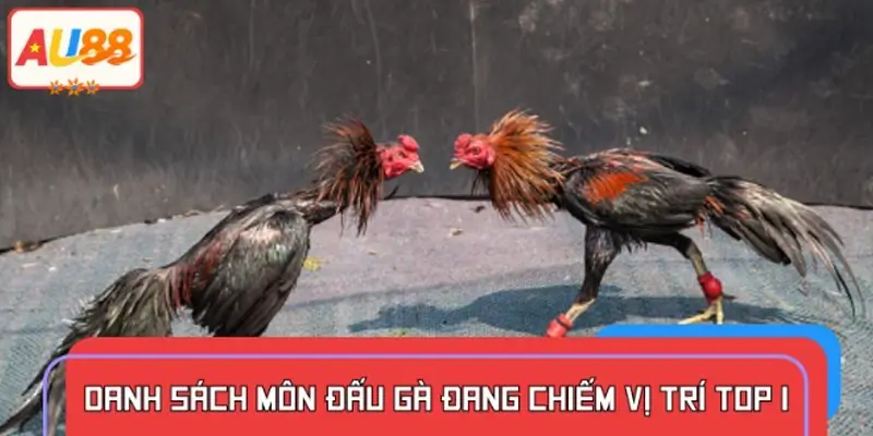 Top các hình thức đá gà được ưa chuộng nhất hiện nay