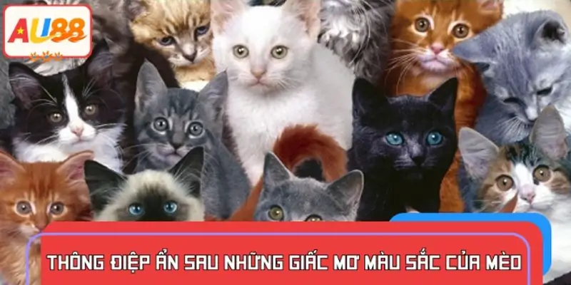 Ý nghĩa của các màu mèo khi xuất hiện trong giấc mơ
