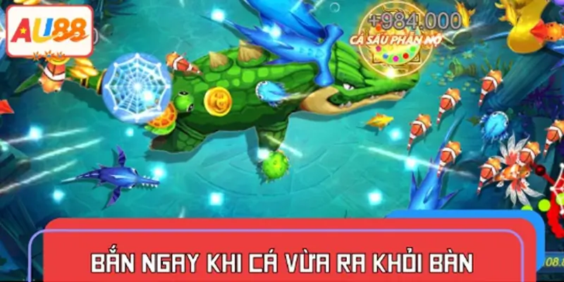 Bắn khi cá ra khỏi bàn
