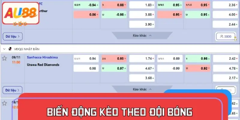 Biến động kèo theo đội bóng