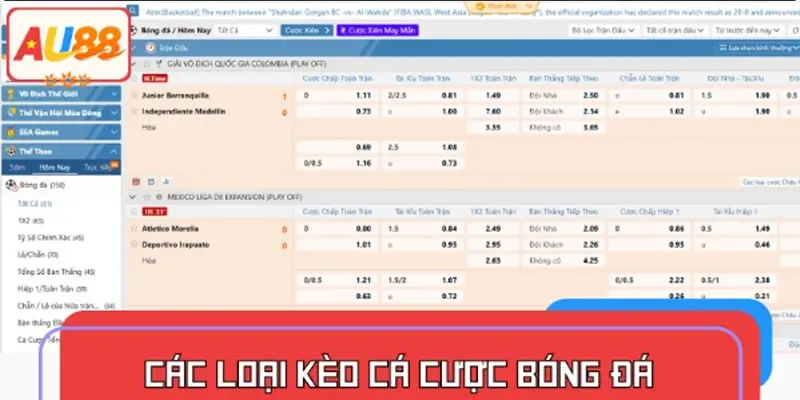 Các loại kèo cá cược bóng đá