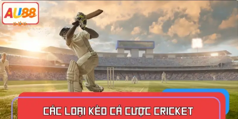Các loại kèo cá cược Cricket (Bóng gậy)