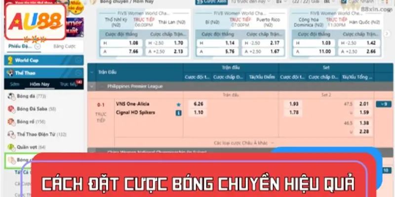 Cách đặt cược bóng chuyền hiệu quả dựa trên phân tích đội tuyển