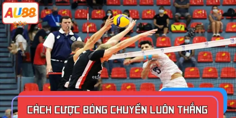 Cách đặt cược bóng chuyền luôn thắng thông qua chiến thuật kèo