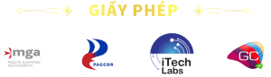 Giấy Phép Au88