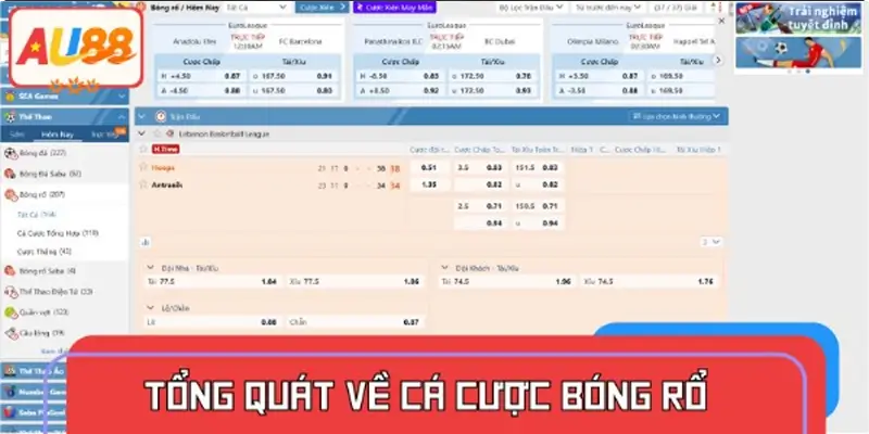 Khái quát về cược bóng rổ và những điều bạn cần biết