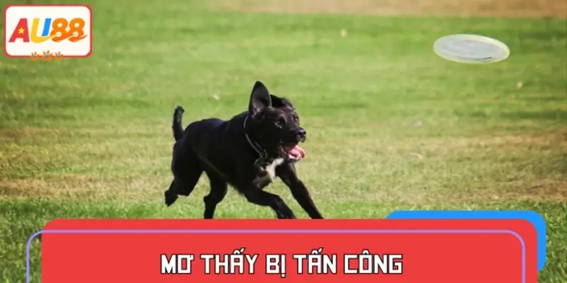 Mơ thấy bị tấn công