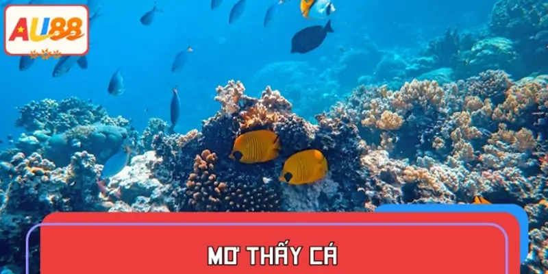 Mơ thấy cá
