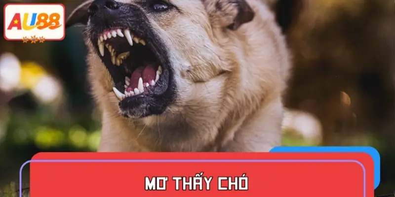 Mơ thấy chó