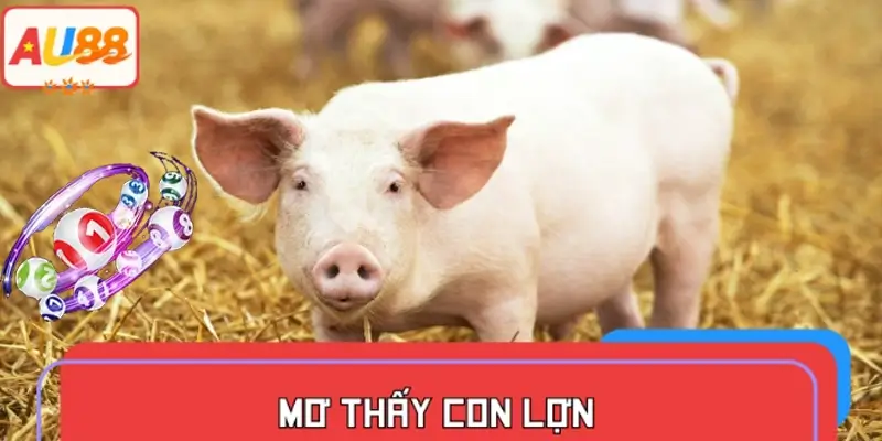 Mơ thấy con lợn