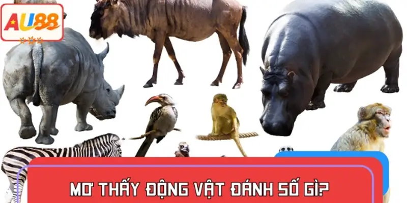 Mơ Thấy Động Vật Đánh Số Gì? Cặp Số Vàng Hốt Trọn Giải Lớn