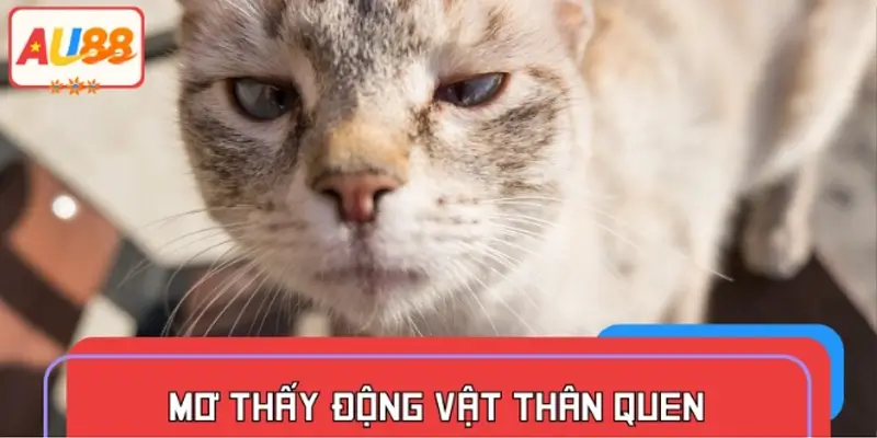 Mơ thấy động vật thân quen xuất hiện bất thường