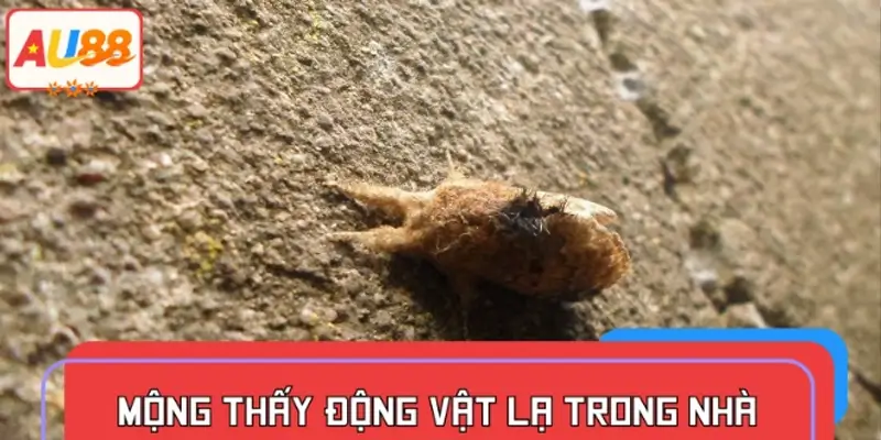 Mộng thấy động vật lạ trong nhà