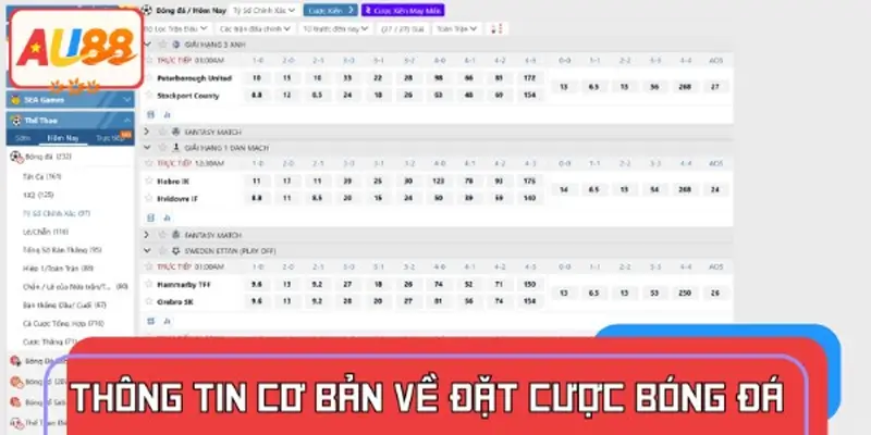 Tổng quan về đặt cược bóng đá cho người mới